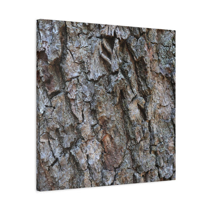 Rugged Canvas - Unique Frameless Canvas Wall Art - Art By Earth