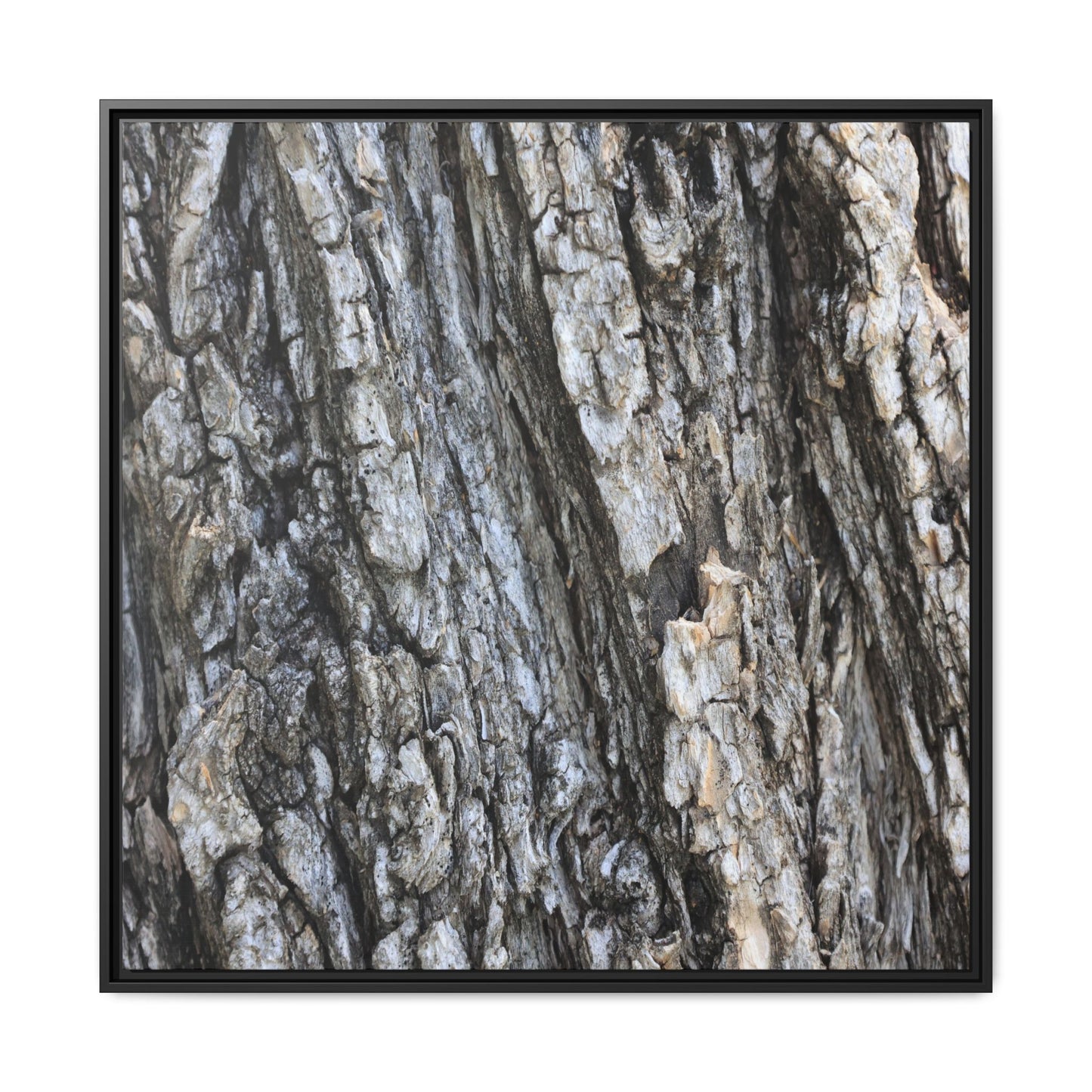 Twisted Textures - Unique Stretched Canvas Wall Art - Art By Earth