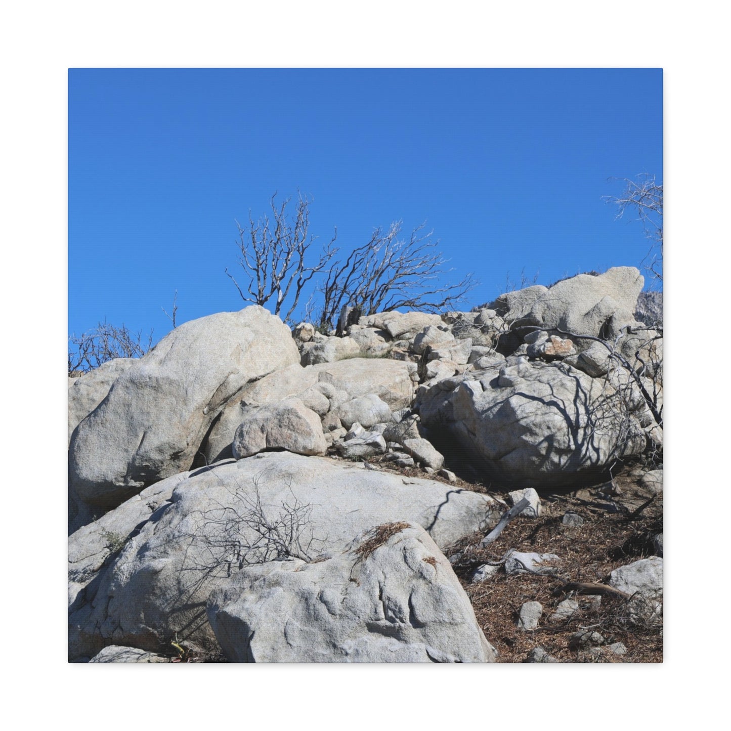 Desert Rocks Under Blue Sky - Unique Frameless Canvas Wall Art - Art By Earth
