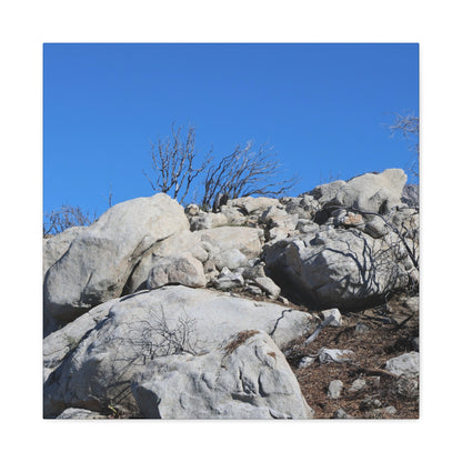 Desert Rocks Under Blue Sky - Unique Frameless Canvas Wall Art - Art By Earth