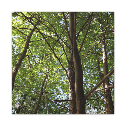 Canopy of Light - Unique Frameless Canvas Wall Art
