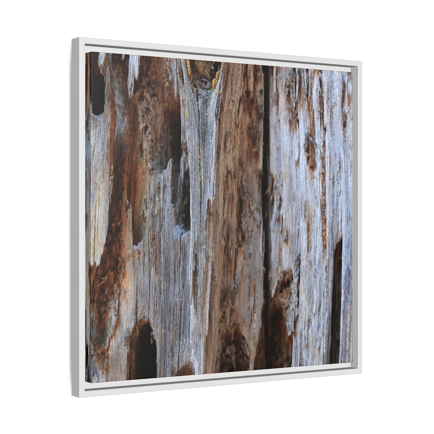 Decaying Splendor - Unique Stretched Canvas Wall Art - Art By Earth