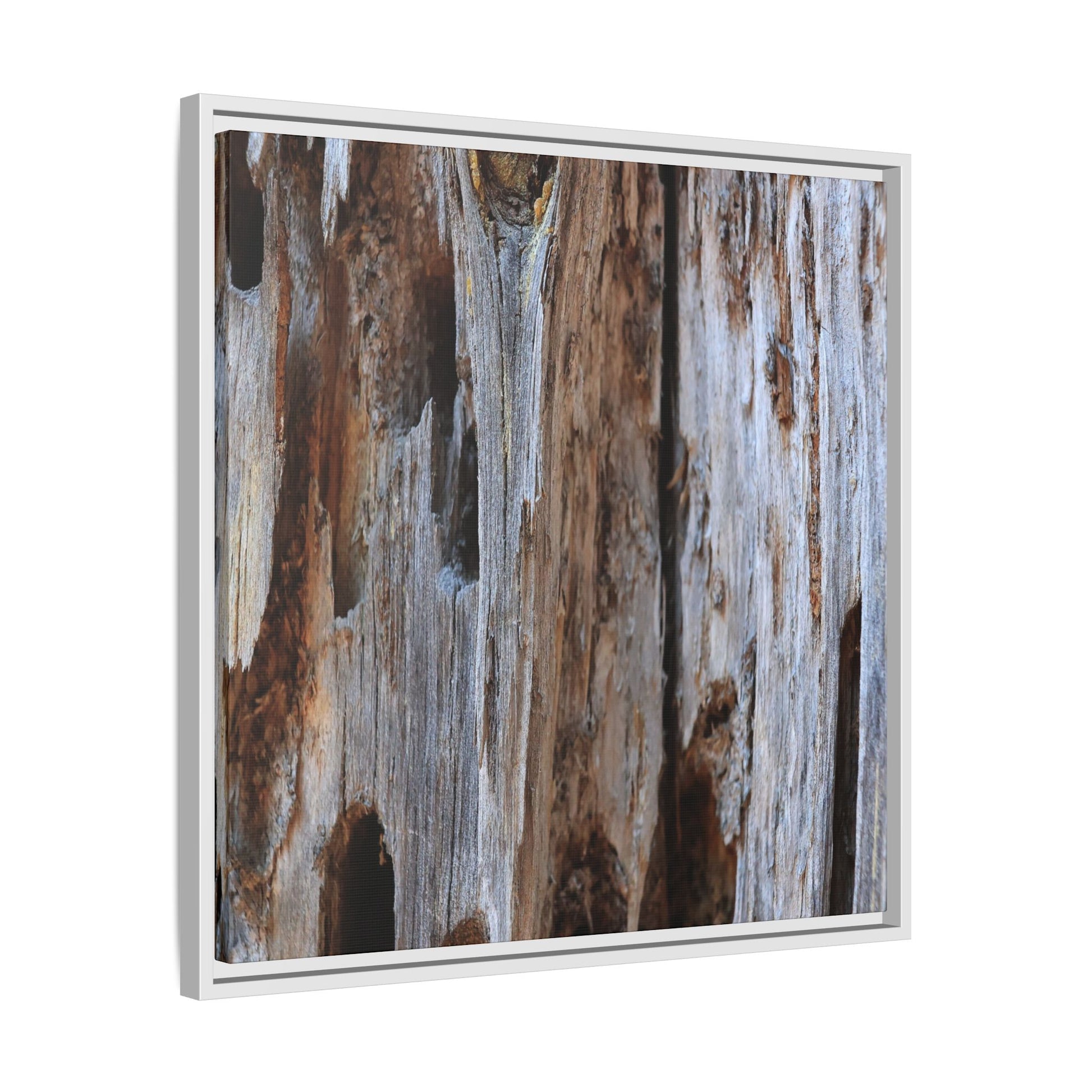 Decaying Splendor - Unique Stretched Canvas Wall Art - Art By Earth