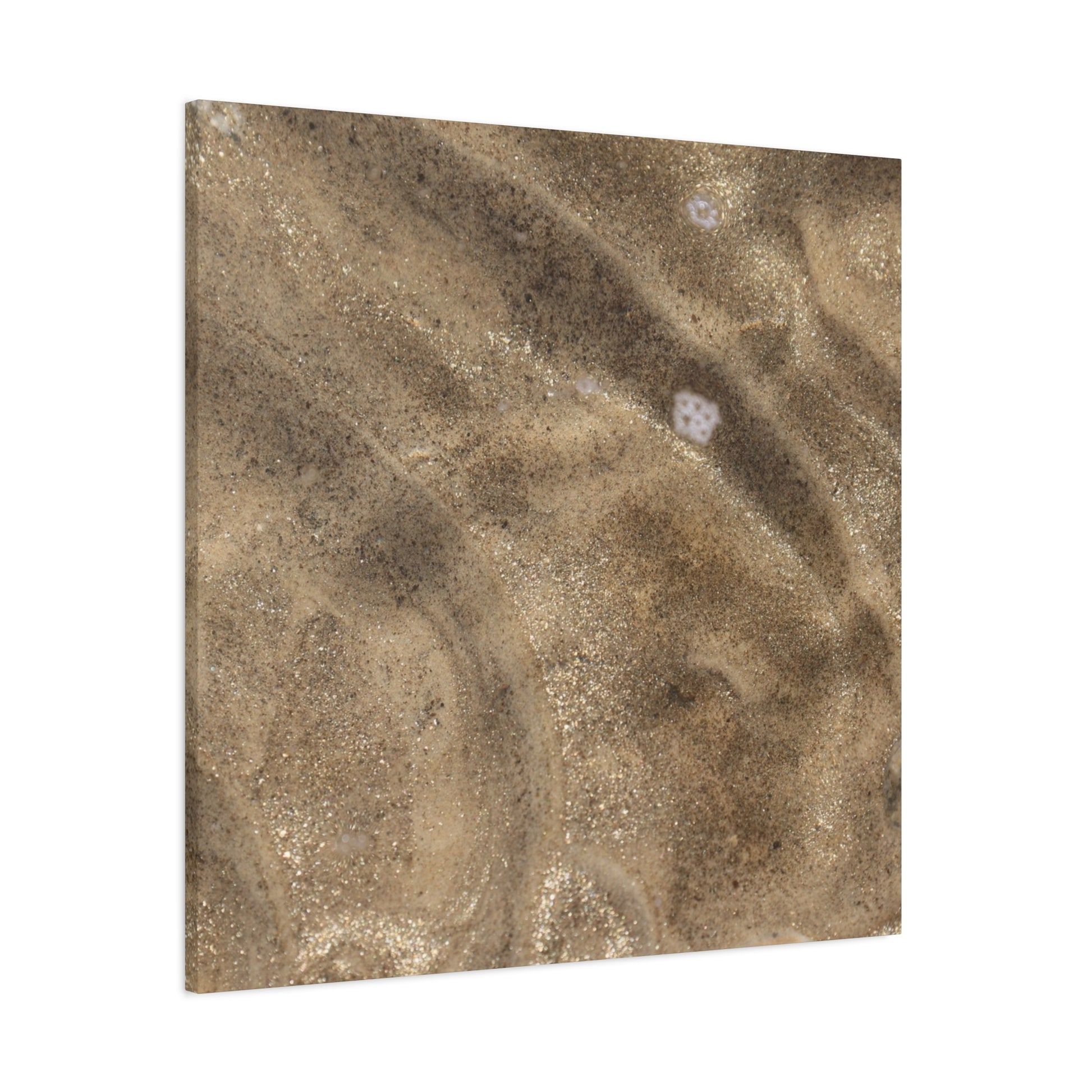 Sandy Shore Impressions - Unique Frameless Canvas Wall Art - Art By Earth