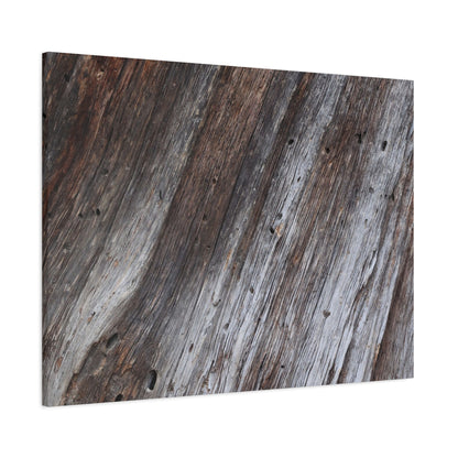 Aged Planks - Unique Frameless Canvas Wall Art - Art By Earth