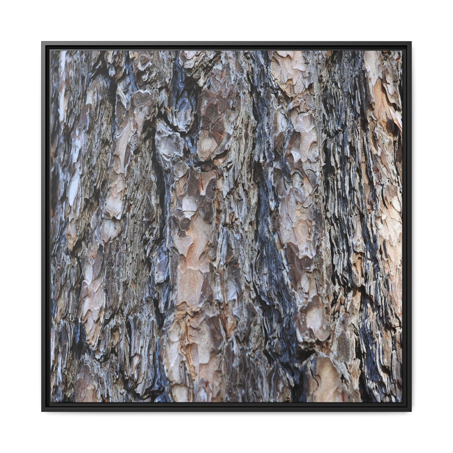 Textured Memories - Unique Stretched Canvas Wall Art - Art By Earth