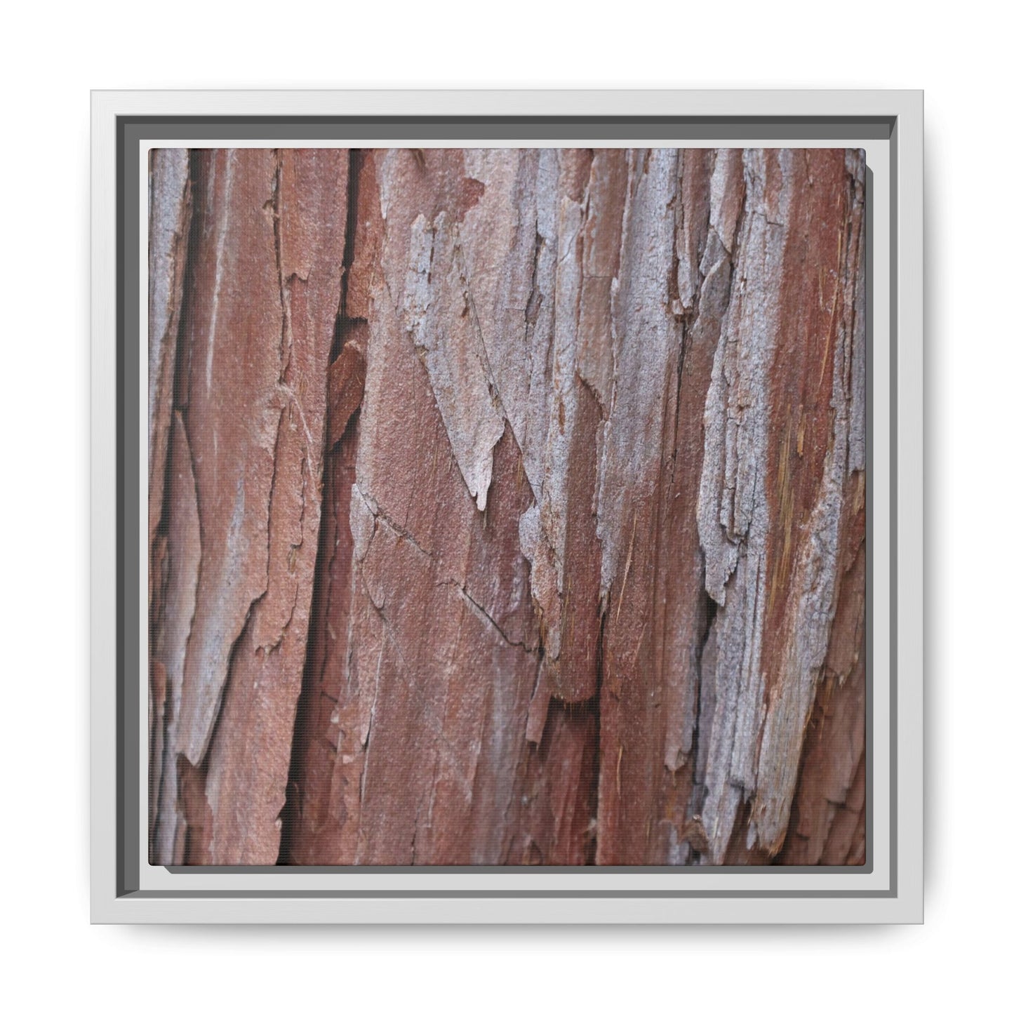 Time and Decay - Unique Stretched Canvas Wall Art - Art By Earth
