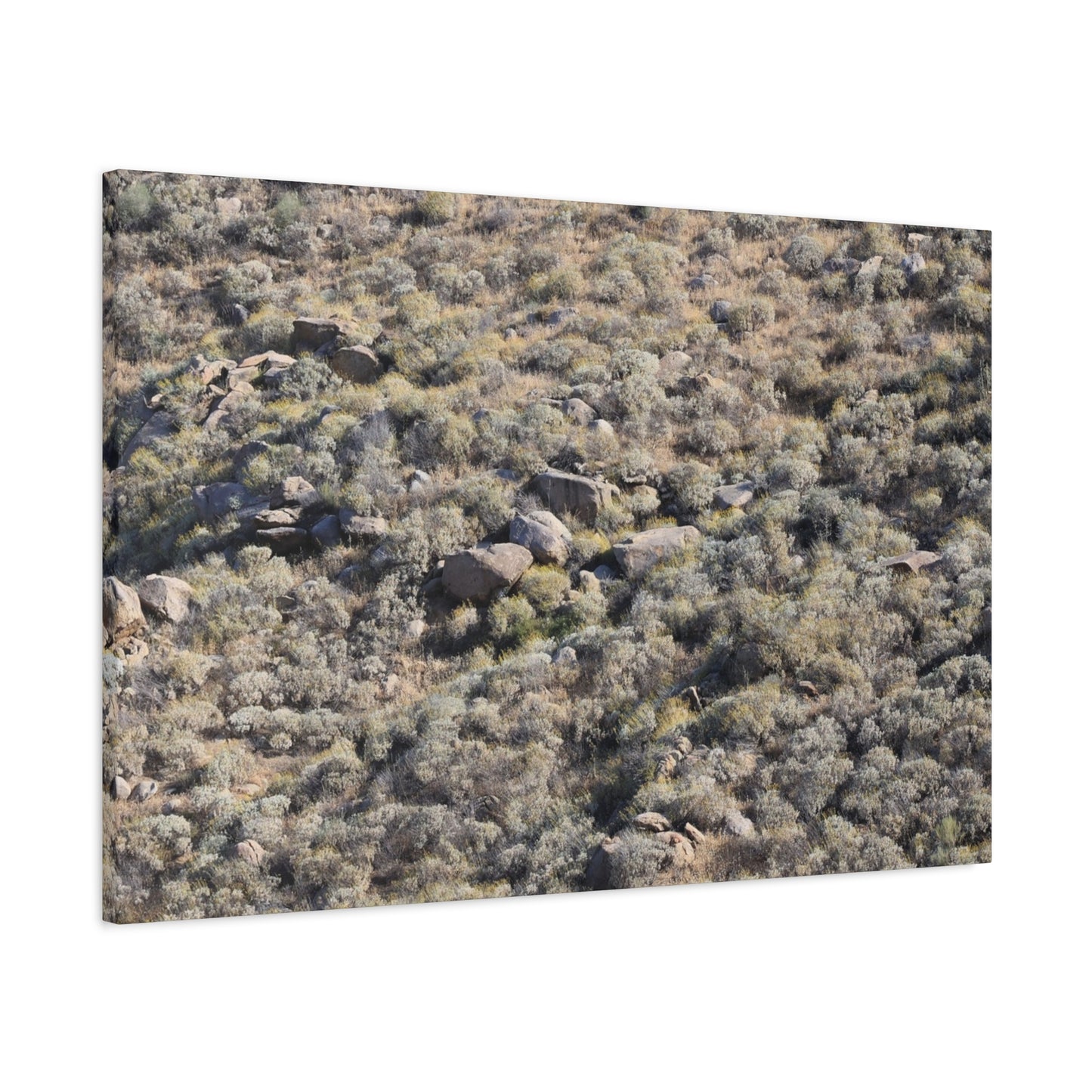 Desert Landscape with Scattered Rocks and Sage - Unique Frameless Canvas Wall Art - Art By Earth