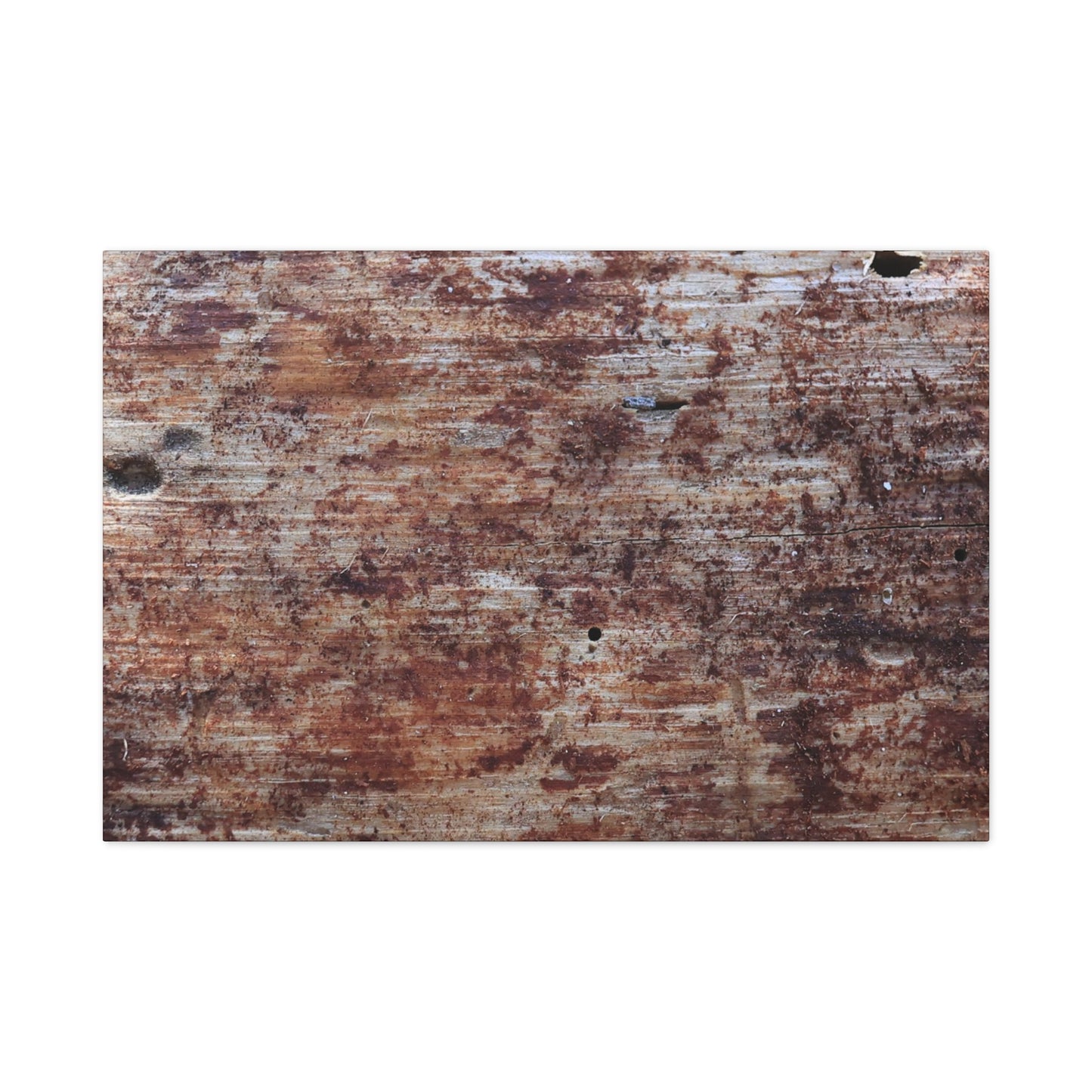 Decaying Memoir - Unique Frameless Canvas Wall Art - Art By Earth