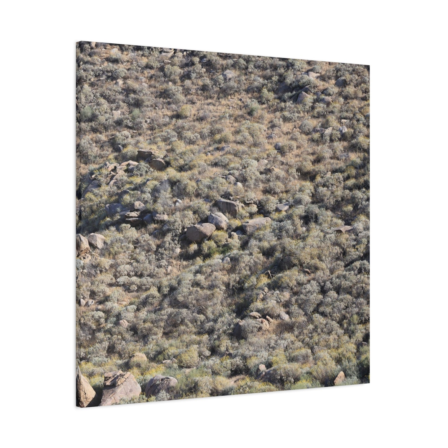Desert Landscape with Scattered Rocks and Sage - Unique Frameless Canvas Wall Art - Art By Earth