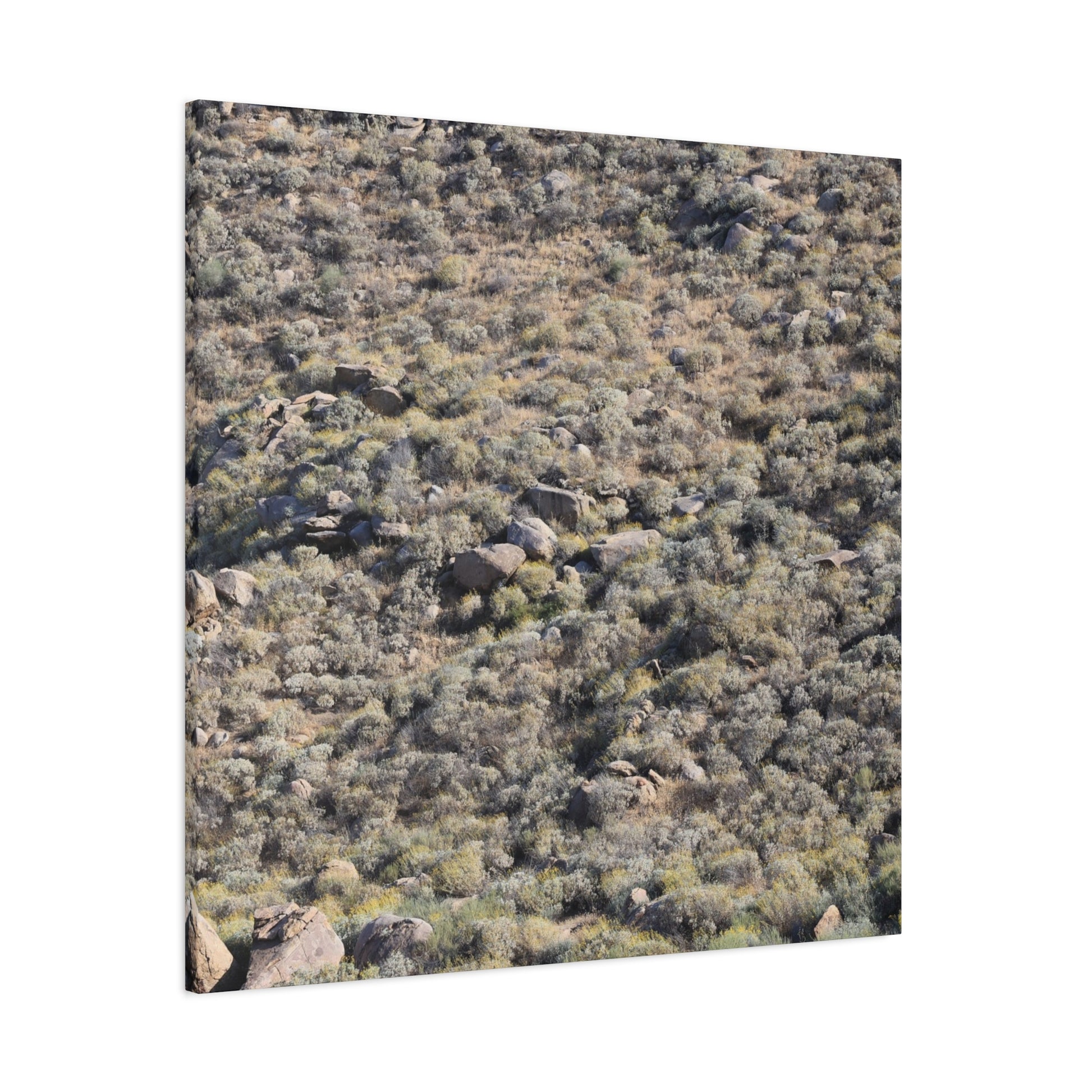 Desert Landscape with Scattered Rocks and Sage - Unique Frameless Canvas Wall Art - Art By Earth