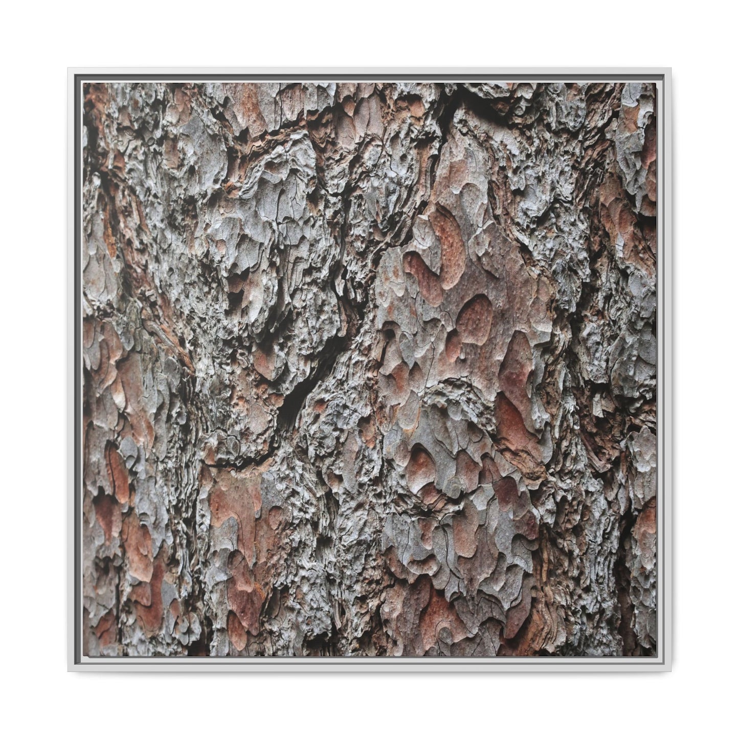 Bark Texture Symphony - Unique Stretched Canvas Wall Art - Art By Earth