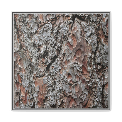 Bark Texture Symphony - Unique Stretched Canvas Wall Art - Art By Earth