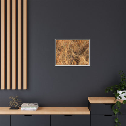 Dried Vegetation Study - Unique Stretched Canvas Wall Art - Art By Earth