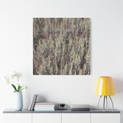 Whispers in the Sage - Unique Stretched Canvas Wall Art - Art By Earth
