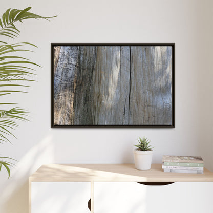 Cracked Timber Texture - Unique Stretched Canvas Wall Art