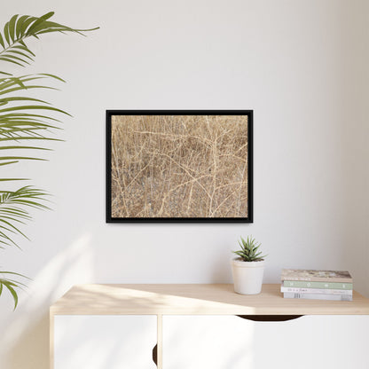 Golden Stalks - Unique Stretched Canvas Wall Art - Art By Earth