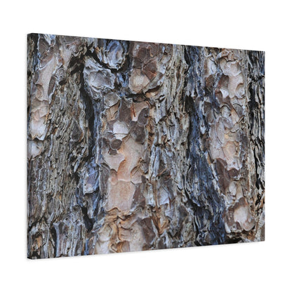Arboreal Patterns - Unique Frameless Canvas Wall Art - Art By Earth