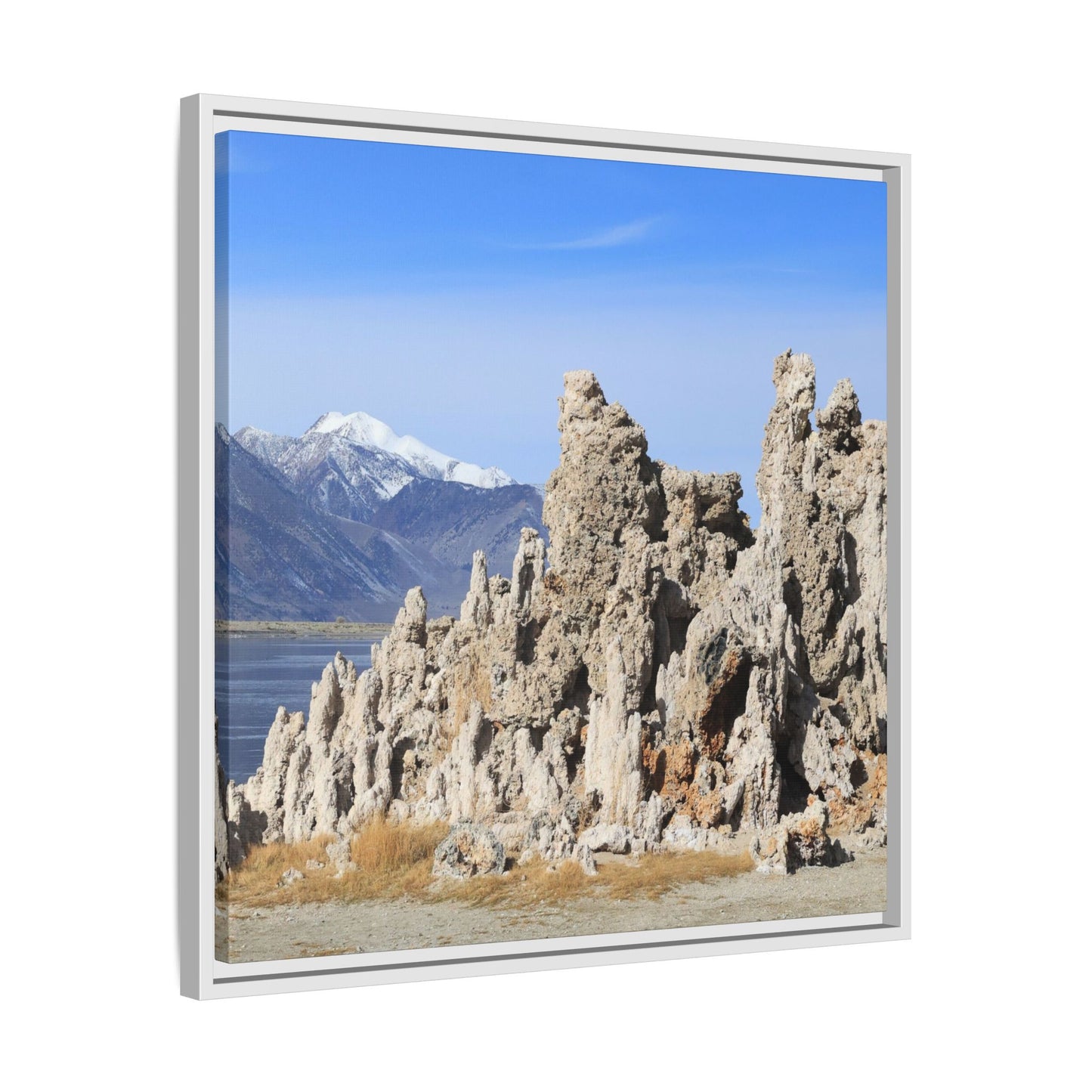 Mono Lake Tufa - Unique Stretched Canvas Wall Art