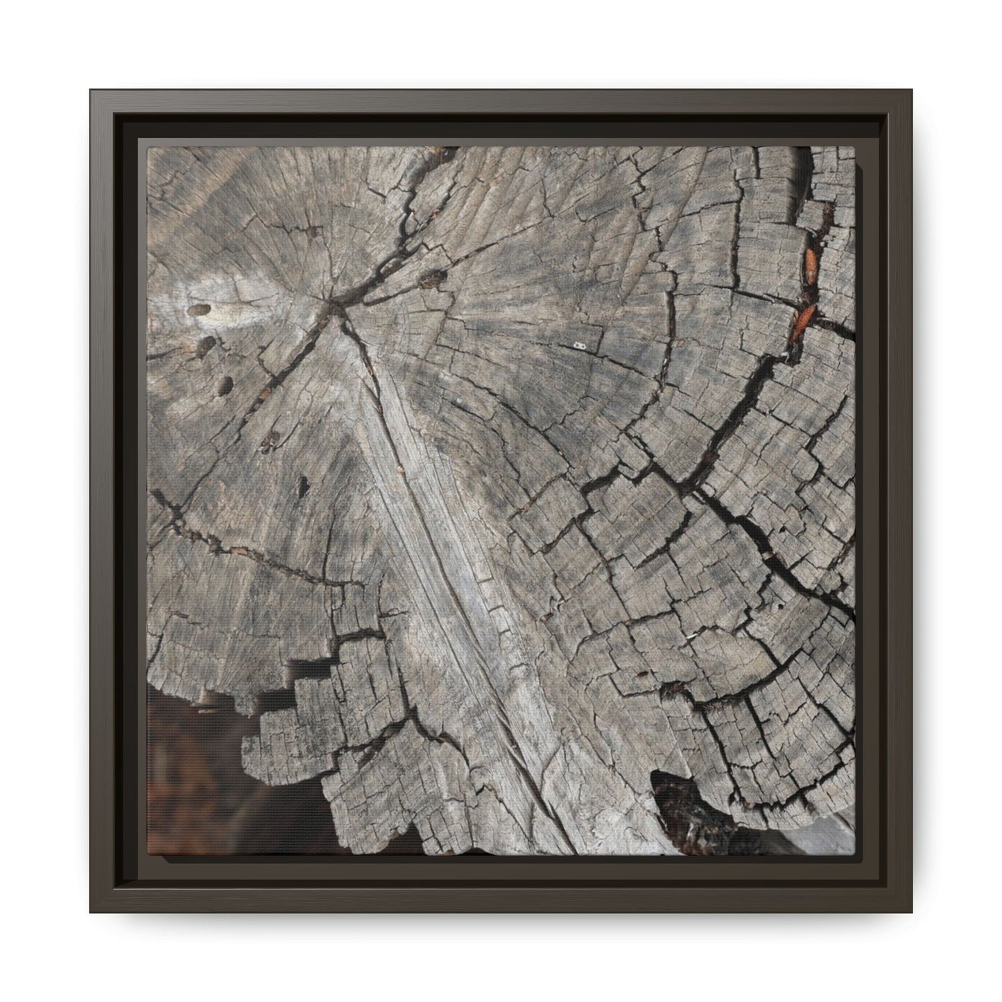 Time's Signature - Unique Stretched Canvas Wall Art - Art By Earth