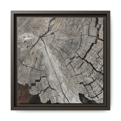 Time's Signature - Unique Stretched Canvas Wall Art - Art By Earth