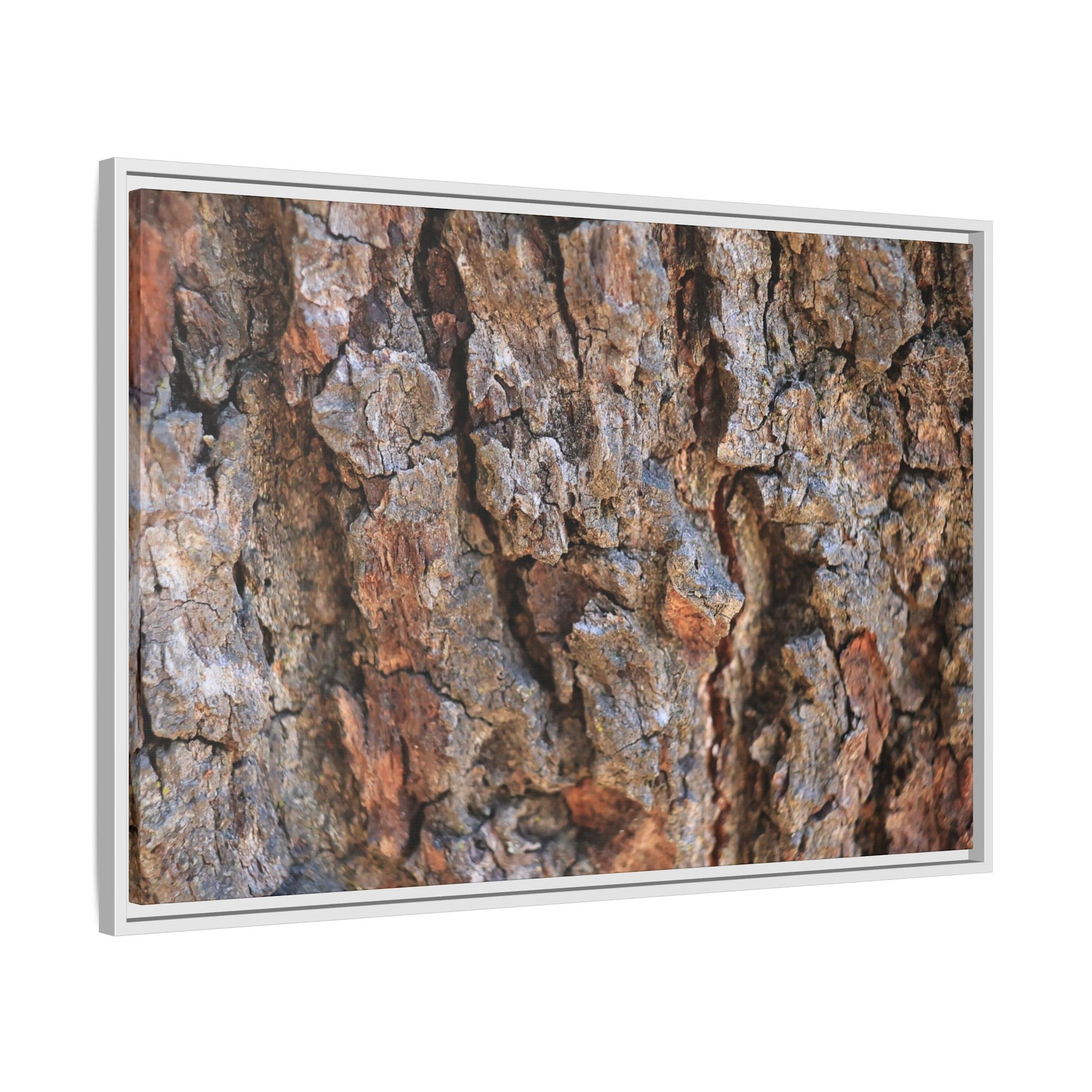 Craggy Textures - Unique Stretched Canvas Wall Art - Art By Earth