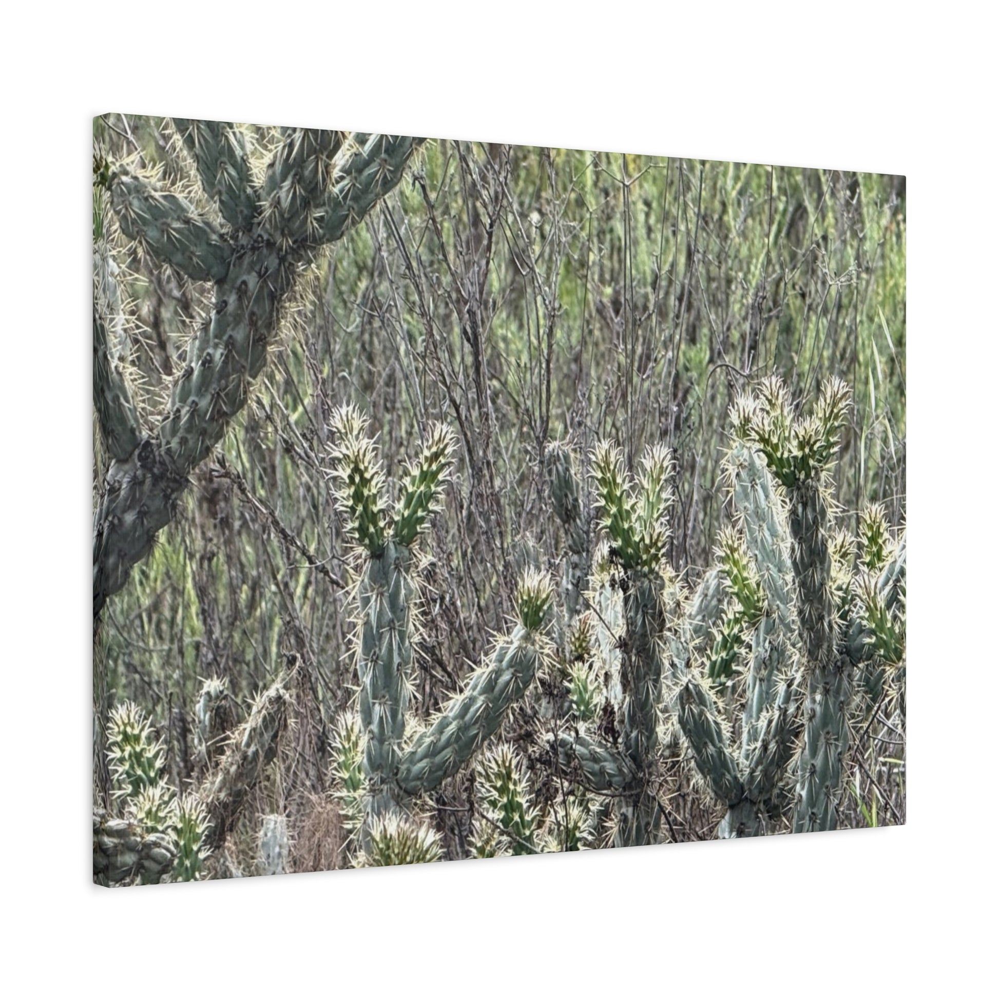Spiny Sentinels - Unique Frameless Canvas Wall Art - Art By Earth