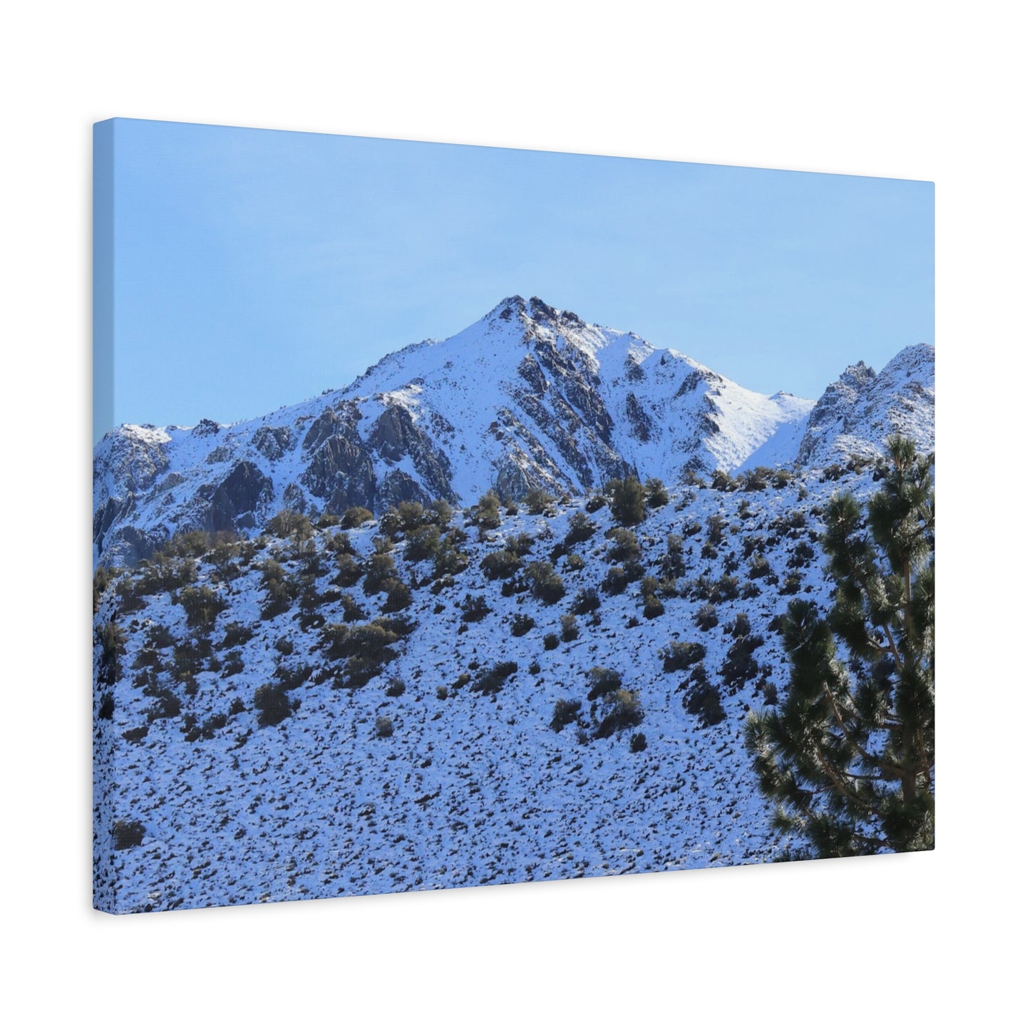 Snowy Peaks and Stoic Pines - Unique Frameless Canvas Wall Art