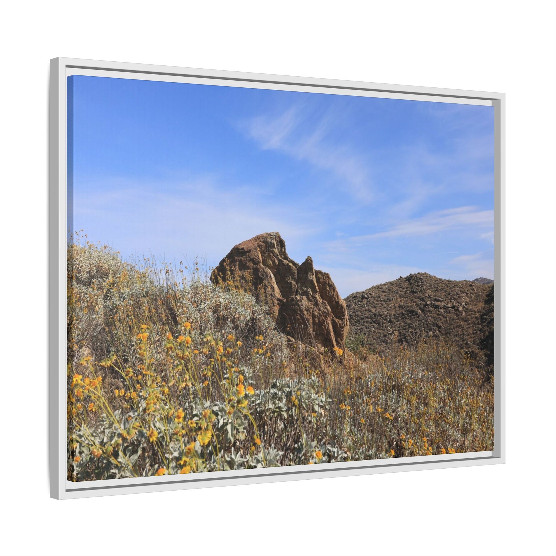 Golden Flowers in Arid Landscape - Unique Stretched Canvas Wall Art - Art By Earth