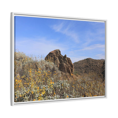 Golden Flowers in Arid Landscape - Unique Stretched Canvas Wall Art - Art By Earth