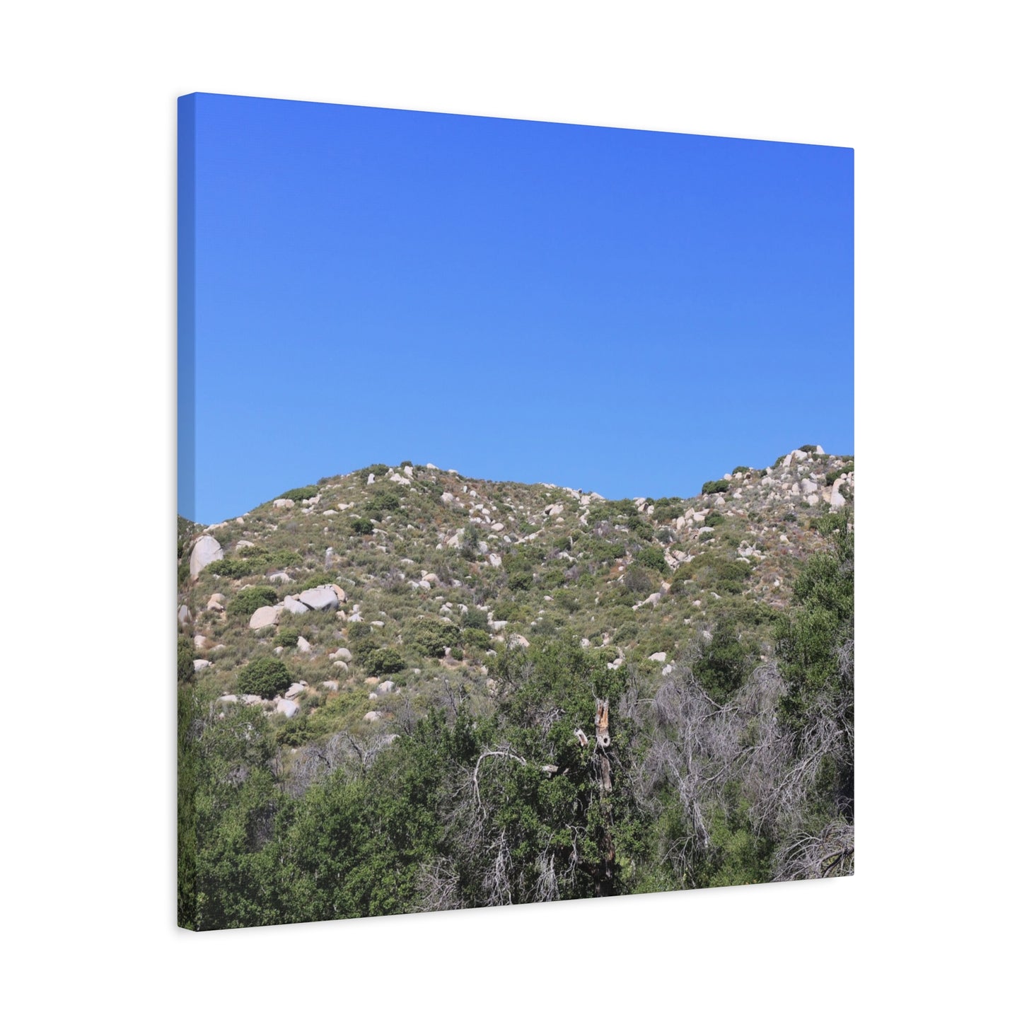 Rocky Hills with Desert Vegetation - Unique Frameless Canvas Wall Art