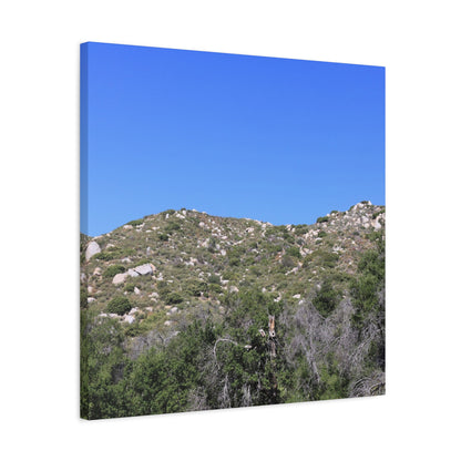Rocky Hills with Desert Vegetation - Unique Frameless Canvas Wall Art