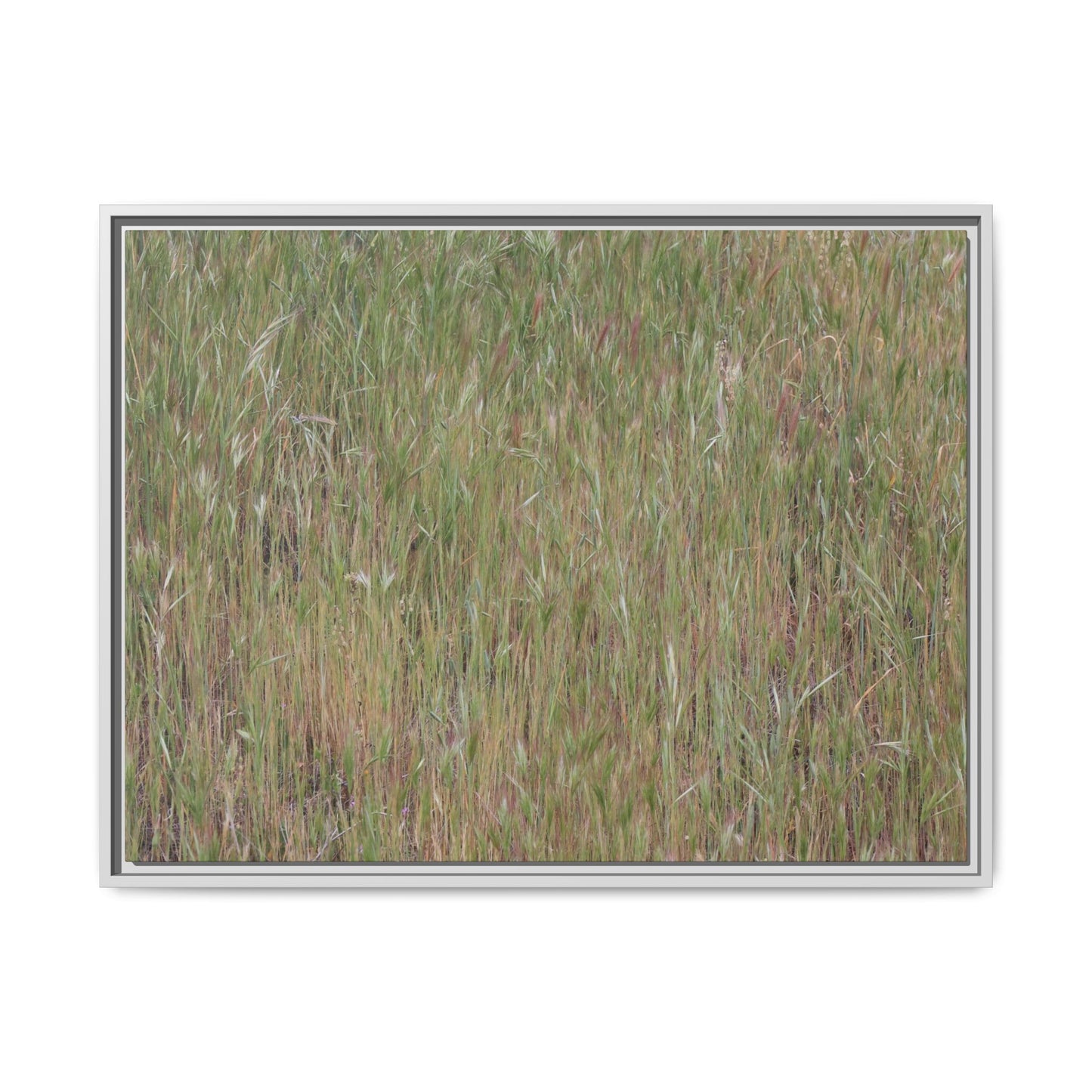Field of Dreams - Unique Stretched Canvas Wall Art - Art By Earth