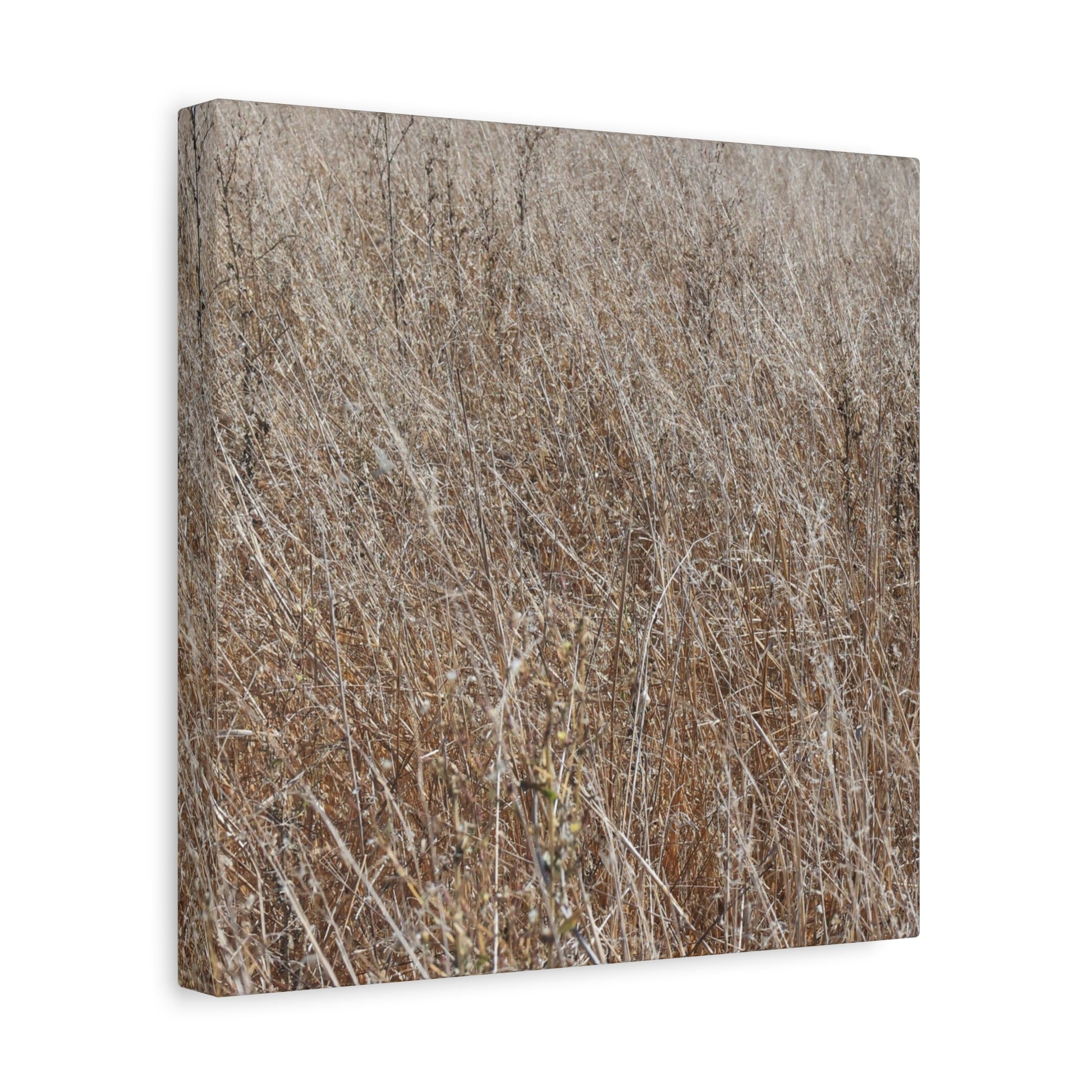 Whispers of Autumn - Unique Frameless Canvas Wall Art - Art By Earth