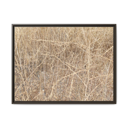 Golden Stalks - Unique Stretched Canvas Wall Art - Art By Earth