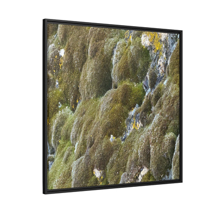 Moss Symphony - Unique Stretched Canvas Wall Art