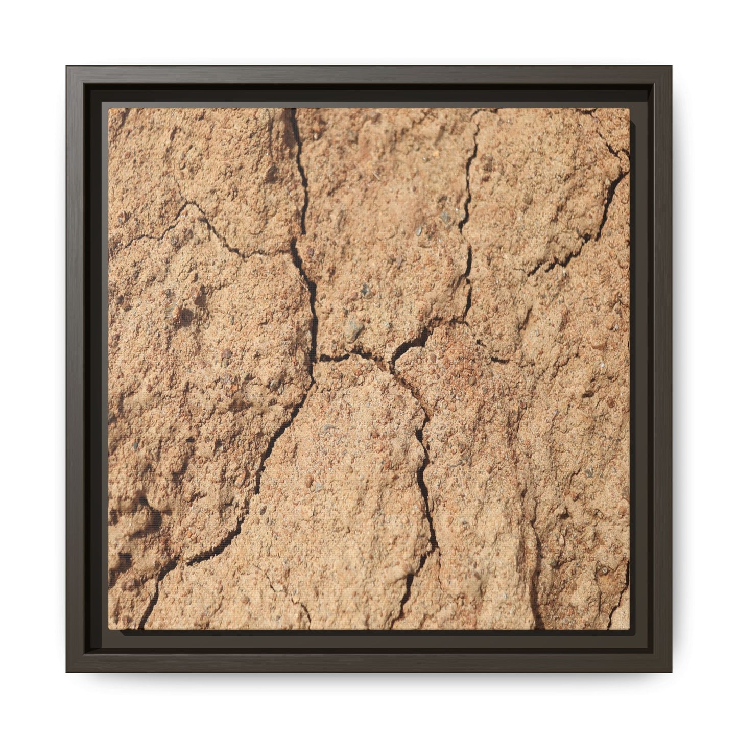 Parched Land - Unique Stretched Canvas Wall Art - Art By Earth