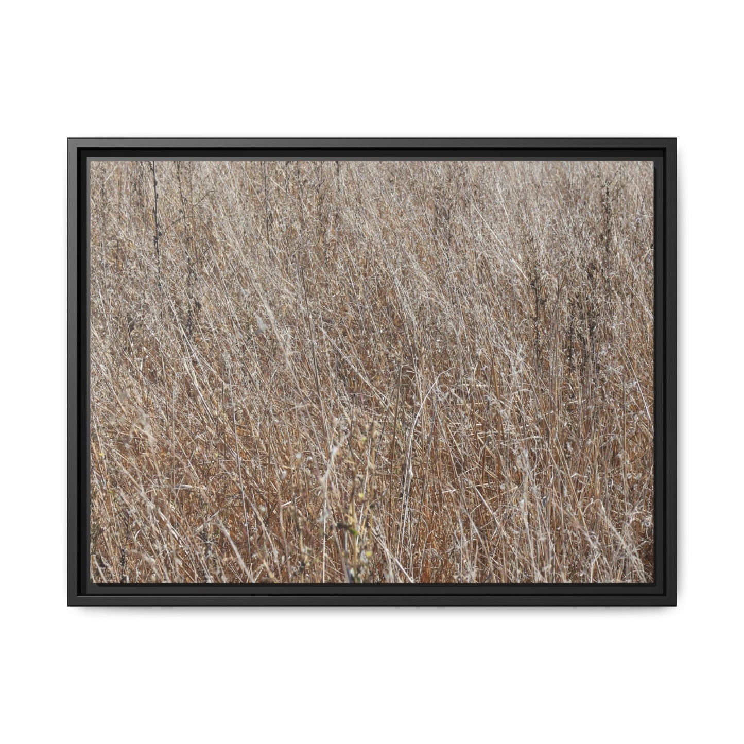 Whispers of Autumn - Unique Stretched Canvas Wall Art - Art By Earth