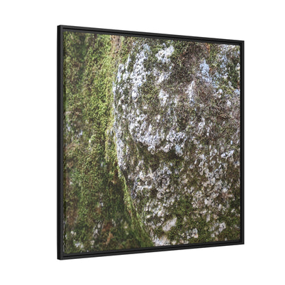 Lichen Landscape - Unique Stretched Canvas Wall Art - Art By Earth
