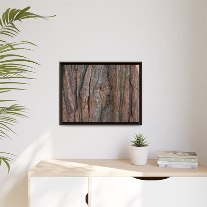 Rugged Textures - Unique Stretched Canvas Wall Art - Art By Earth