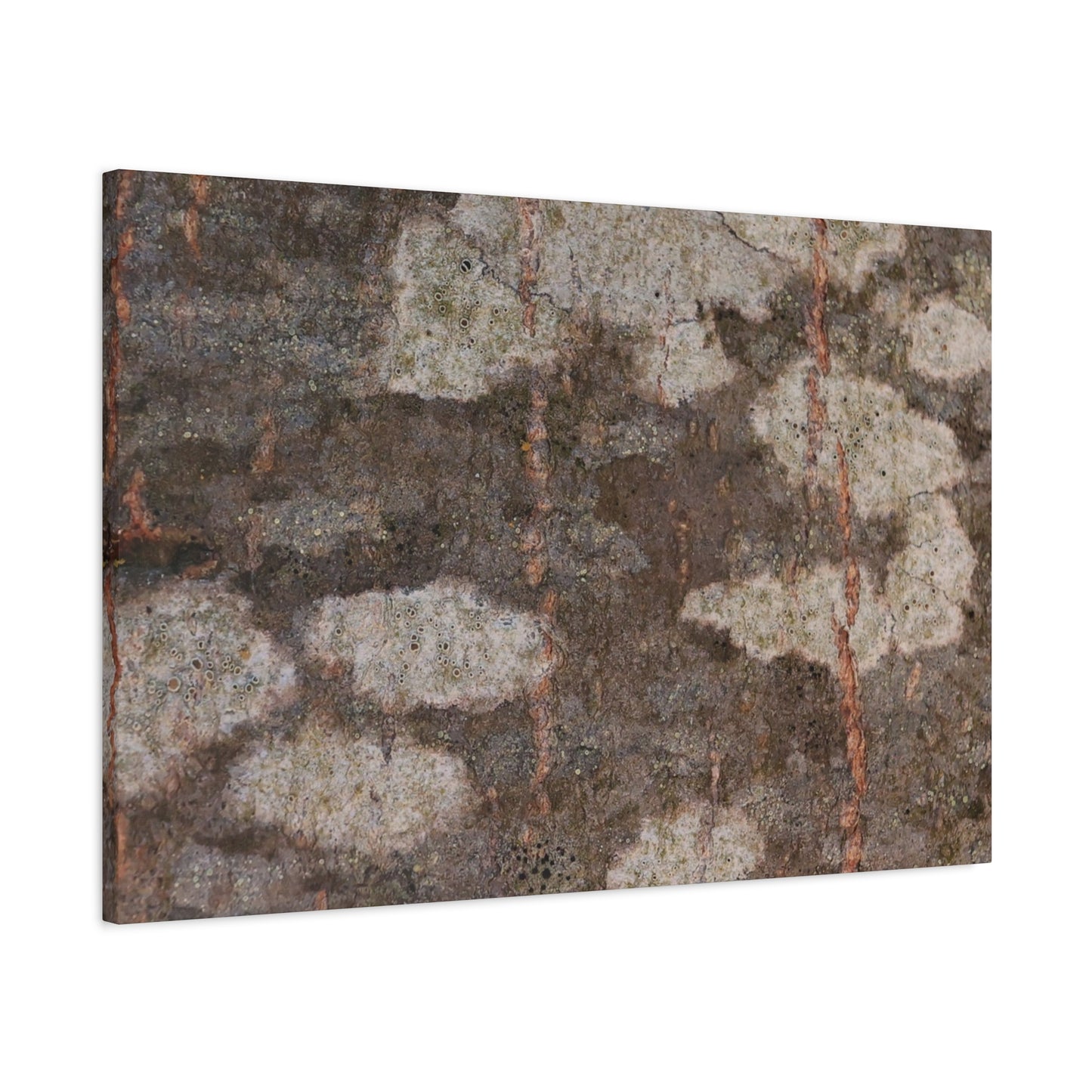 Earthen Memoir - Unique Frameless Canvas Wall Art - Art By Earth