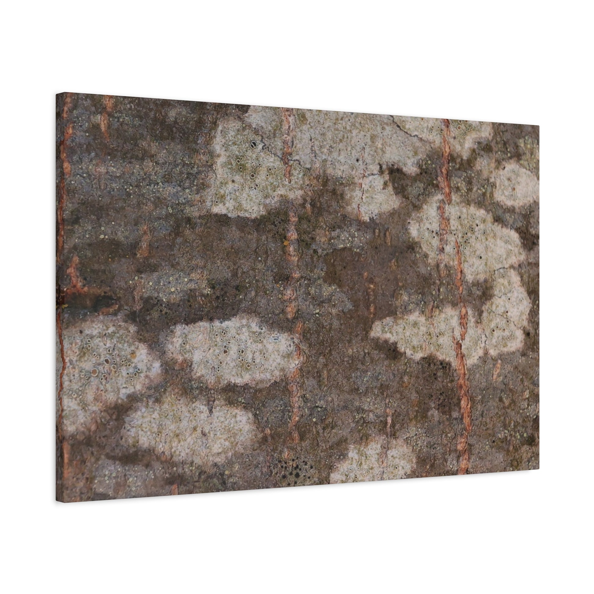 Earthen Memoir - Unique Frameless Canvas Wall Art - Art By Earth