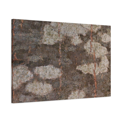 Earthen Memoir - Unique Frameless Canvas Wall Art - Art By Earth