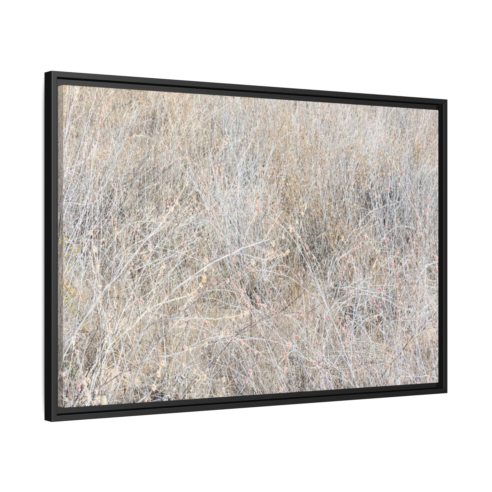 Whispers of Dry Grass - Unique Stretched Canvas Wall Art - Art By Earth