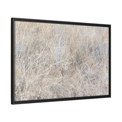 Whispers of Dry Grass - Unique Stretched Canvas Wall Art - Art By Earth