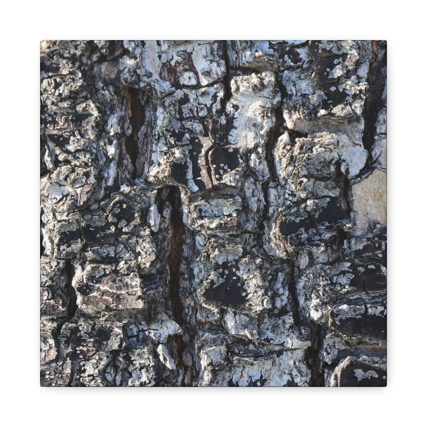 Textured Whispers of the Ancient Tree - Unique Frameless Canvas Wall Art - Art By Earth