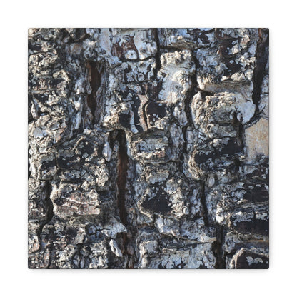 Textured Whispers of the Ancient Tree - Unique Frameless Canvas Wall Art - Art By Earth