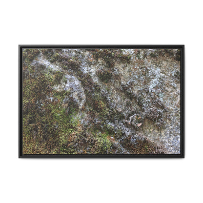 Mossy Whispers - Unique Stretched Canvas Wall Art - Art By Earth