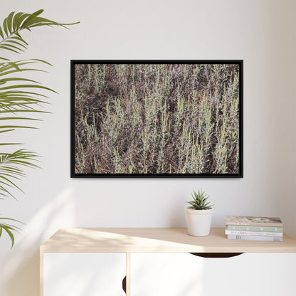 Sage Fields Forever - Unique Stretched Canvas Wall Art - Art By Earth