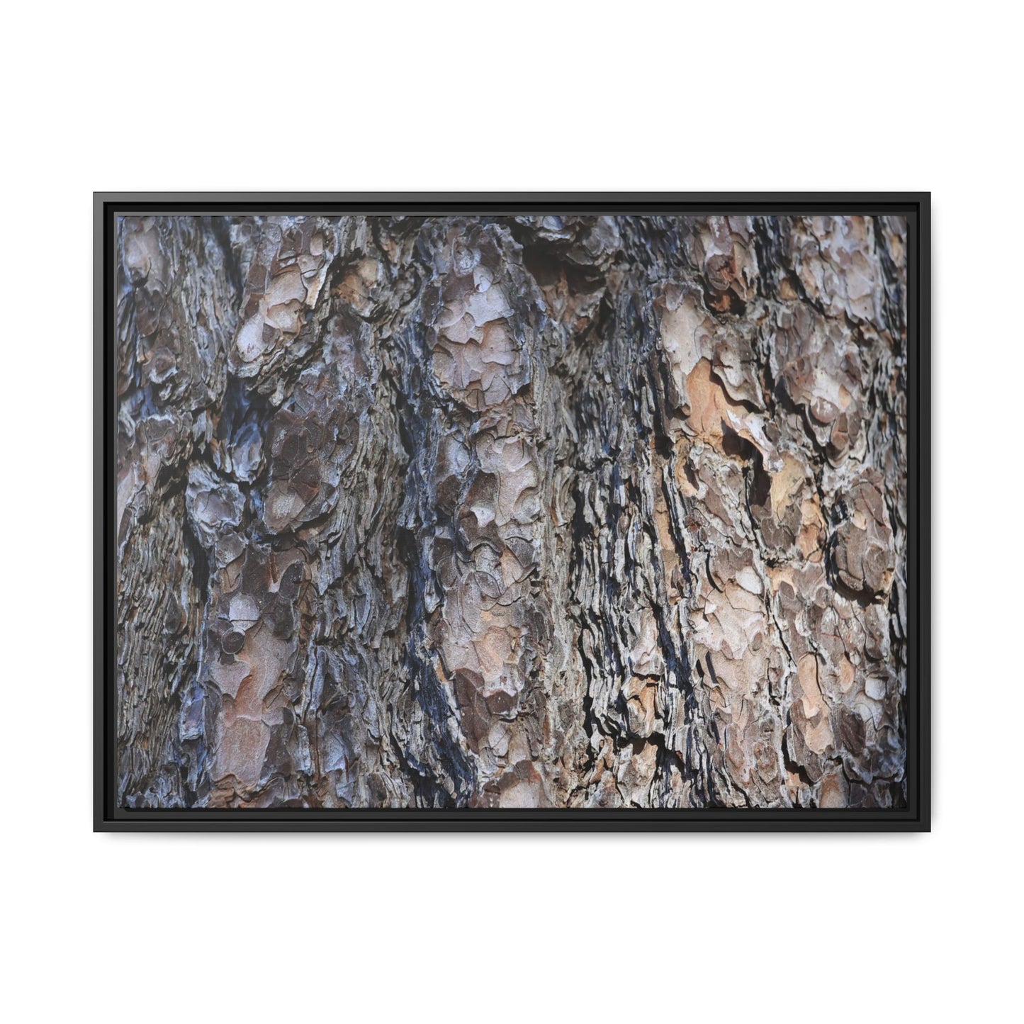 Weathered Patterns - Unique Stretched Canvas Wall Art - Art By Earth
